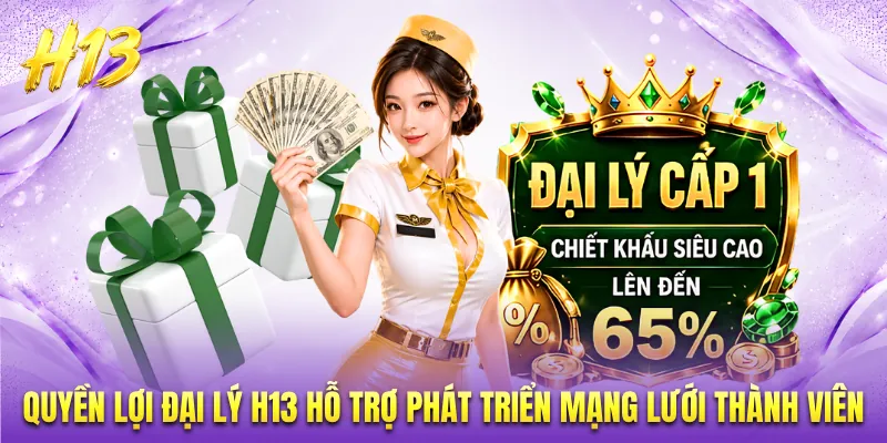 Quyền lợi đại lý H13 hỗ trợ phát triển mạng lưới thành viên